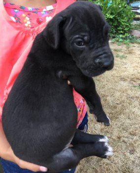 IMG_20170830_233709_01